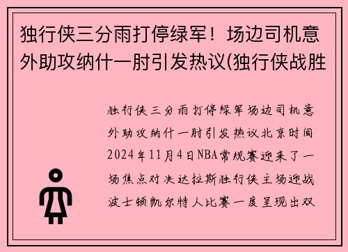 独行侠三分雨打停绿军！场边司机意外助攻纳什一肘引发热议(独行侠战胜篮网 视频)