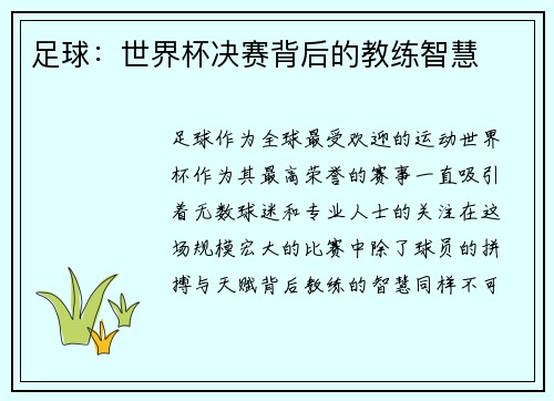 足球：世界杯决赛背后的教练智慧