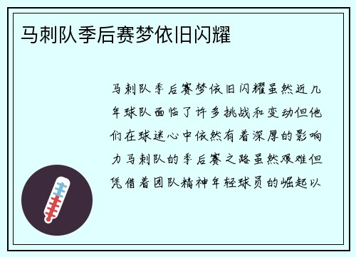 马刺队季后赛梦依旧闪耀