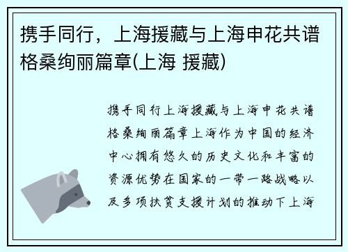 携手同行，上海援藏与上海申花共谱格桑绚丽篇章(上海 援藏)