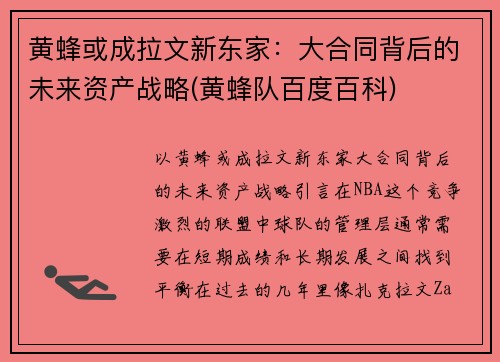 黄蜂或成拉文新东家：大合同背后的未来资产战略(黄蜂队百度百科)